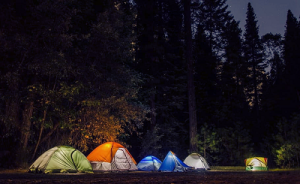 No-Cost Camping