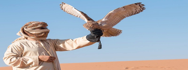 The Best Desert Safari in Abu Dhabi