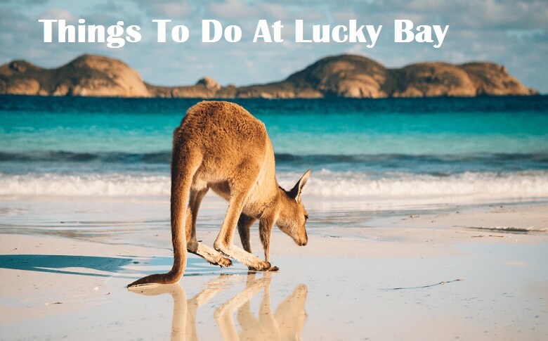 Things To Do At Lucky Bay
