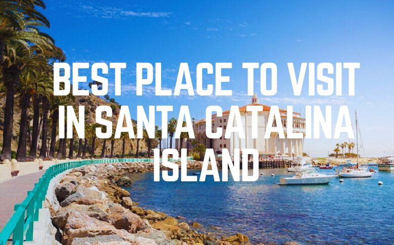 Best Place To Visit In Santa Catalina Island