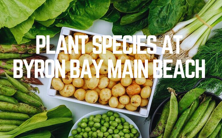 Plant Species At Byron Bay Main Beach