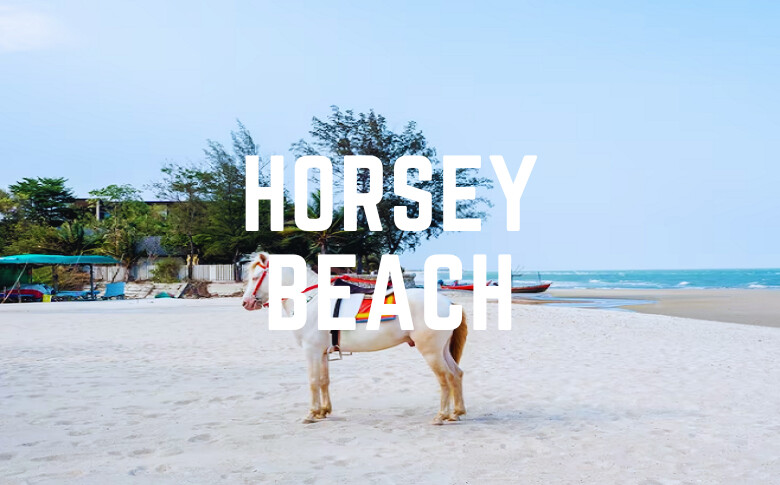 Horsey Beach
