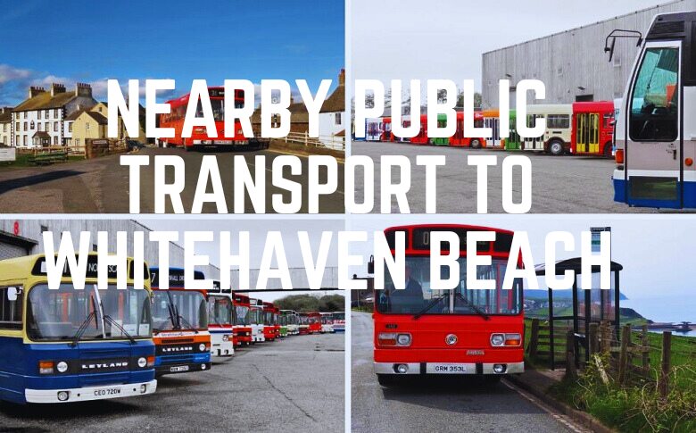 Nearby Public Transport To Whitehaven Beach