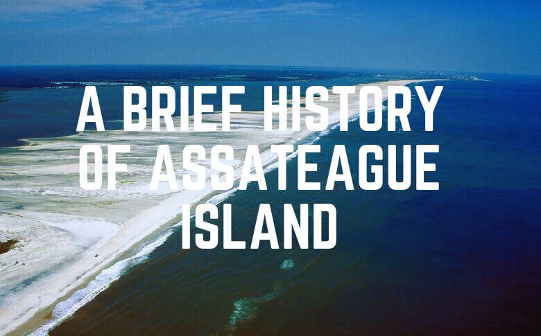 A Brief History Of Assateague Island
