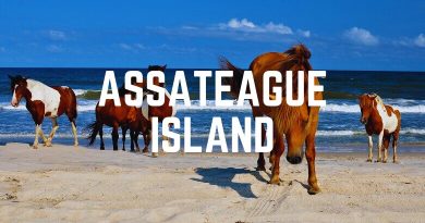 Assateague Island