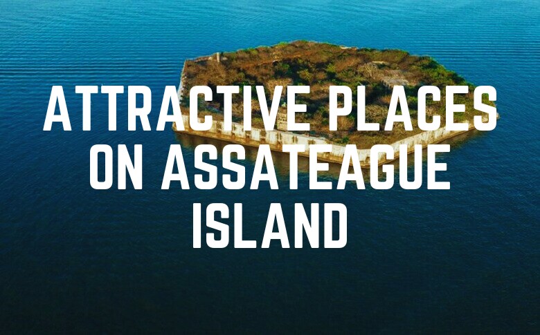 Attractive Places On Assateague Island
