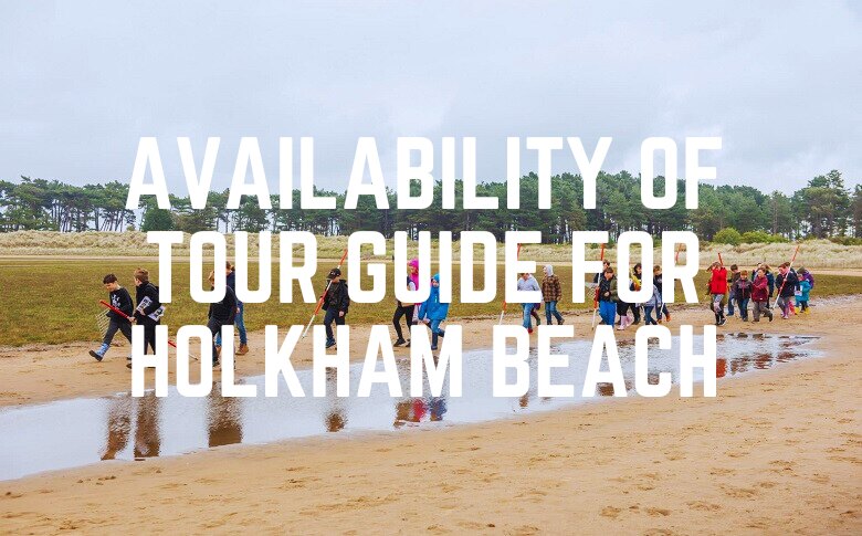 Availability Of Tour Guide For Holkham Beach