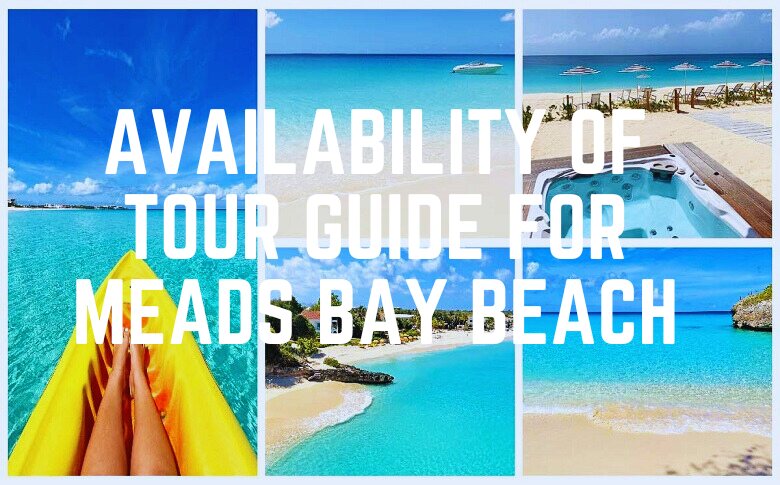 Availability Of Tour Guide For Meads Bay Beach