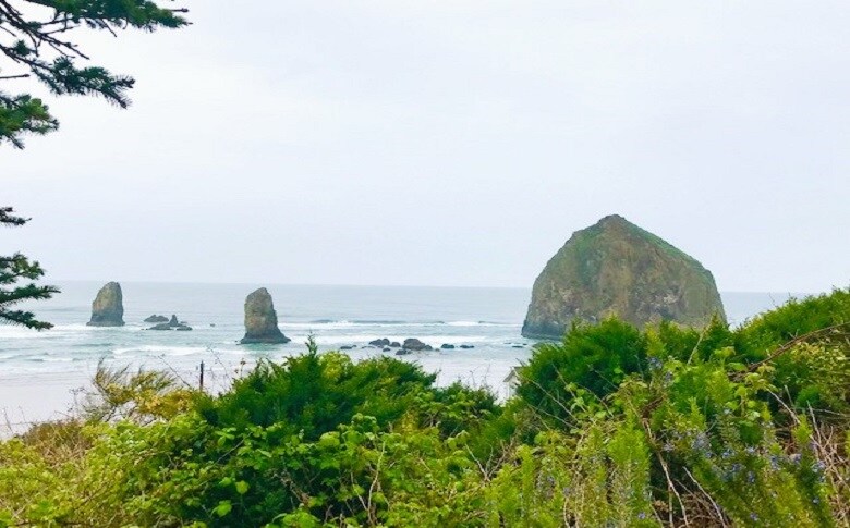 Plant Species Of Cannon Beach