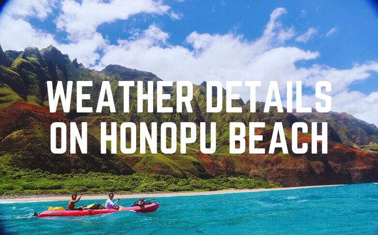 Weather Details On Honopu Beach
