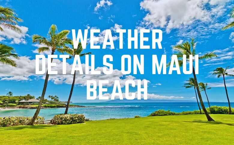 Weather Details On Maui Beach