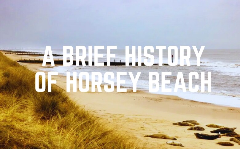 A Brief History Of Horsey Beach