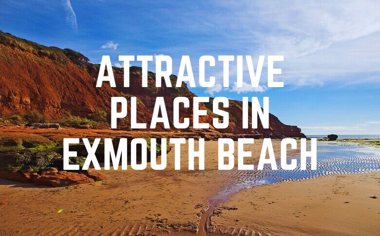 Attractive Places In Exmouth Beach