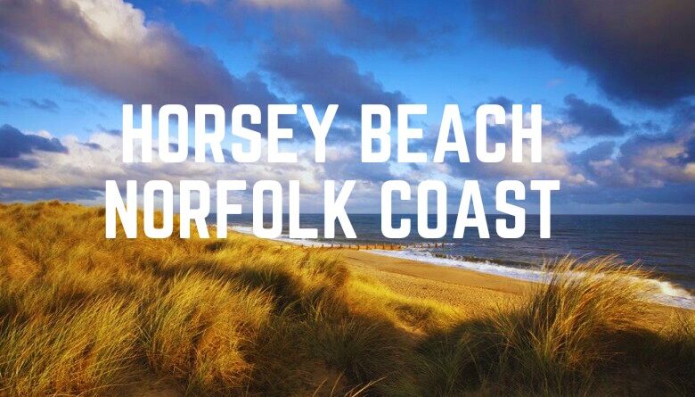 Horsey Beach Norfolk coast