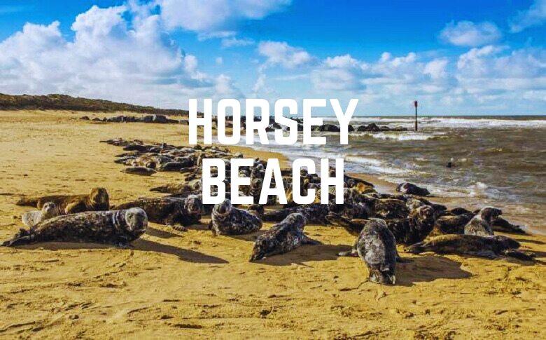 Horsey Beach